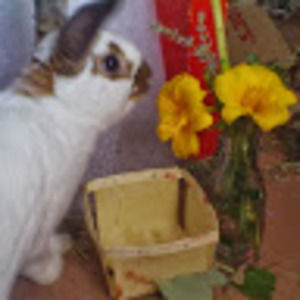 Meet your Posher, Rosemary